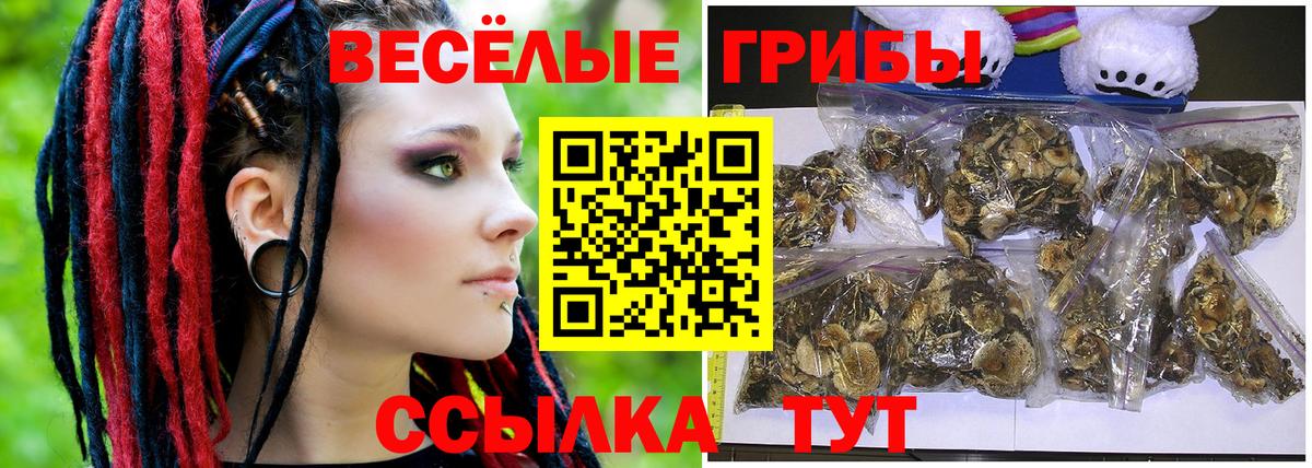 Керчь  Галлюциногенные грибы GOLDEN TEACHER  Вход с VPN 